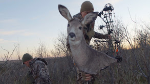 Decoying Great Plains Whitetails thumbnail