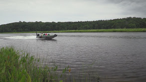 Chesapeake Bay Cobia,Bullreds & Snakeheads thumbnail