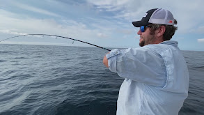 Jersey Mahi on the Pot thumbnail