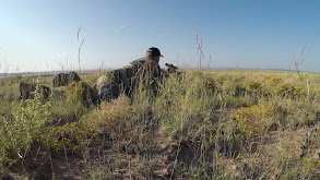 Arizona Antelope thumbnail