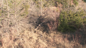 David's First Oklahoma Deer Hunt thumbnail