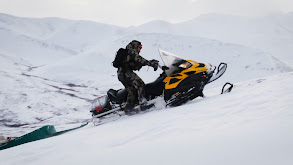 Chasing the Ghosts of the Tundra: Hunting Caribou in the Yukon thumbnail