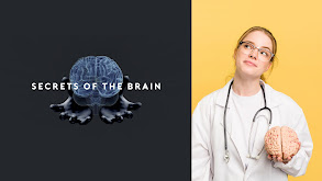 Secrets of the Brain thumbnail