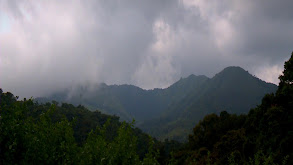 Western Ghats: Monsoon Mountains thumbnail