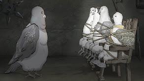 Pigeons. thumbnail