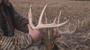 Illinois Giant Whitetail 1 thumbnail