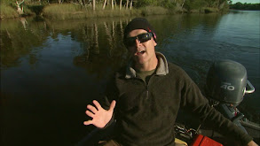 Adventure on the Aucilla River thumbnail