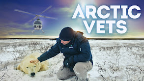 Arctic Vets thumbnail