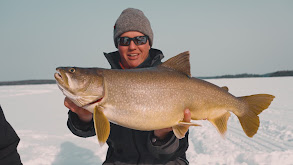 Ontario Lake Trout thumbnail