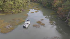 The Chesapeake Shuffle thumbnail