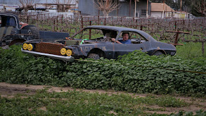 Out of the Weeds, Into the Garage thumbnail