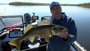 Lac La Biche Walleye thumbnail