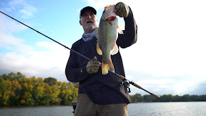 Fertile Lake, Big Bass? thumbnail