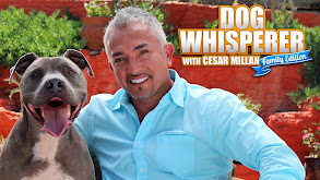 Dog Whisperer With Cesar Millan: Family Edition thumbnail