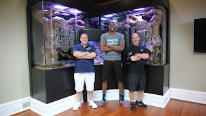 Dwight Howard's Slamming Snake Tank thumbnail