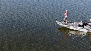 Hydrilla Hole Gold thumbnail