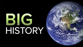 Big History: The Big Bang, Life on Earth, and the Rise of Humanity thumbnail