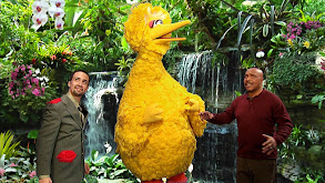 Big Bird's Big Move thumbnail