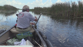 Frog Fishing for Big Bass thumbnail