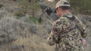 Bow Hunt Public Land Mule Deer, 2020 thumbnail