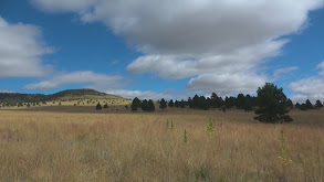 New Mexico Elk Season Comes to an End thumbnail