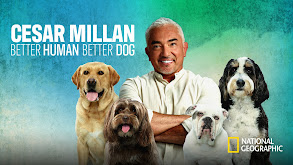 Cesar Millan: Better Human Better Dog thumbnail