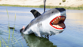 Mythbusters vs. Jaws thumbnail