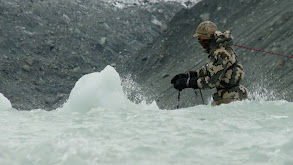 The Top of the Bottom of the World: NZ Tahr 2 thumbnail