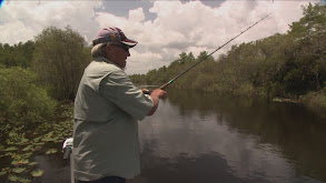 Everglades Bass thumbnail