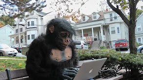 The Infinite Monkey Theorem thumbnail