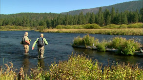 Oregon Bull Trout thumbnail