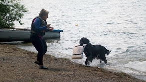 Boxer, Bichon Frise, Newfoundland, Beagle and Dachshund thumbnail