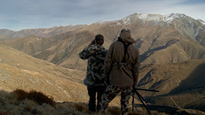 Strange Hunt in a Strange Land: NZ Red Stag thumbnail