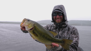 Yankee Bass thumbnail