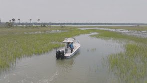 Low Country Bounty thumbnail