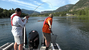 Rainbow Trout on the Colombia River thumbnail