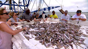 Shrimp Boats and Hat Ladies thumbnail