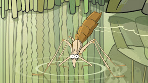 Water Strider thumbnail