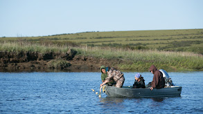 The Harvest thumbnail