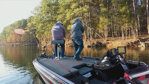 Jordan Lake, NC--Where Bald Eagles Soar! thumbnail