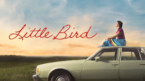 Little Bird thumbnail