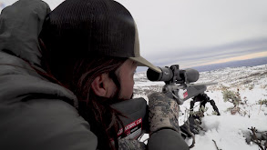 Winter Range Hunt for Giant Mule Deer thumbnail