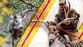 Heartbreak! Losing One of the Biggest Bucks in DOD History thumbnail