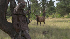 Second Chance Bulls in New Mexico thumbnail