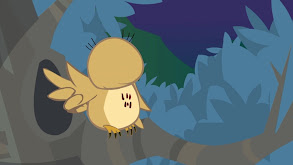 Owl thumbnail