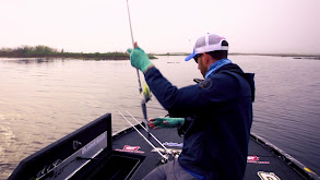 Shallow Grass Lake Florida Bass thumbnail