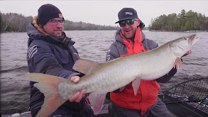 Last Call: Muskies on Lake Vermillion thumbnail