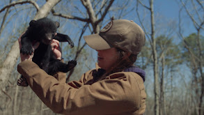 Black Bear Research thumbnail