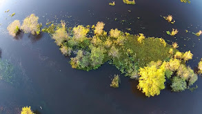 Argentina Marsh thumbnail