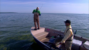 Michigan Carp thumbnail